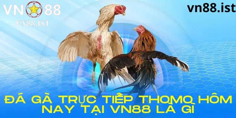 Trực tiếp đá gà Thomo hôm nay tại Vn88 là gì?